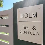 Holm Ilex & Quercus Chania (Crete)