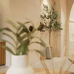 Holm Ilex & Quercus Chania (Crete)