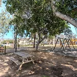 Holm Ilex & Quercus * Chania (Crete)