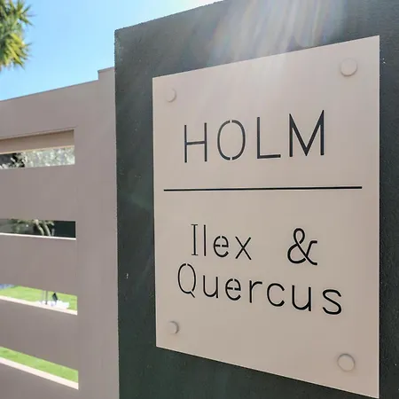 Holm Ilex & Quercus Chania (Crete)