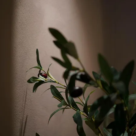 Holm Ilex & Quercus Apartament