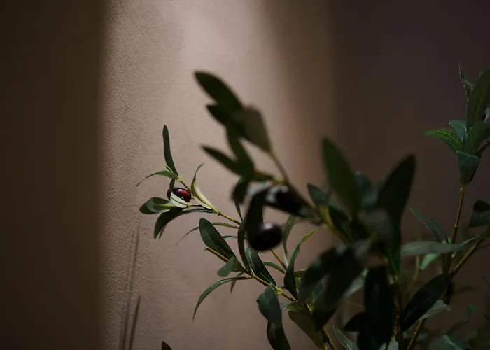 Holm Ilex & Quercus דירה